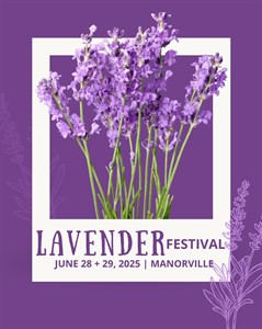 Hoshyla Farms Lavender Festival