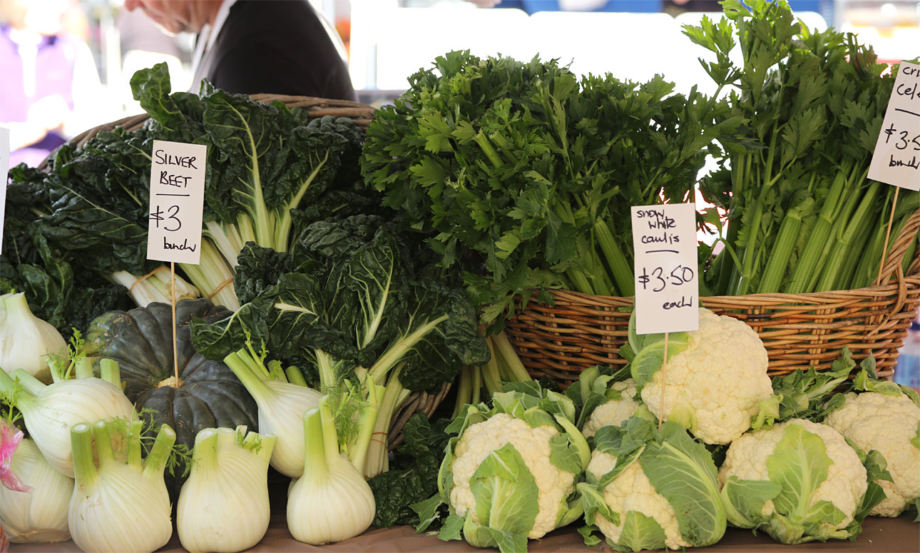 Growing abundant organic vegetables