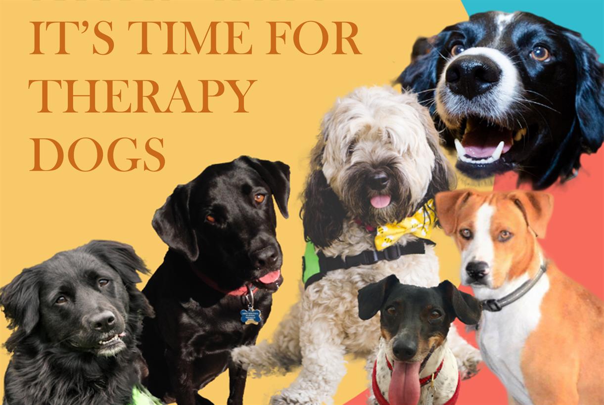 CANCELLED - Therapy Dogs at RRC Library