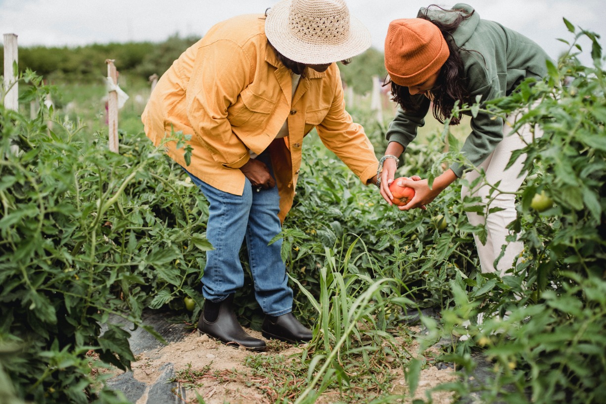 Growing Community Series - Garden Pests