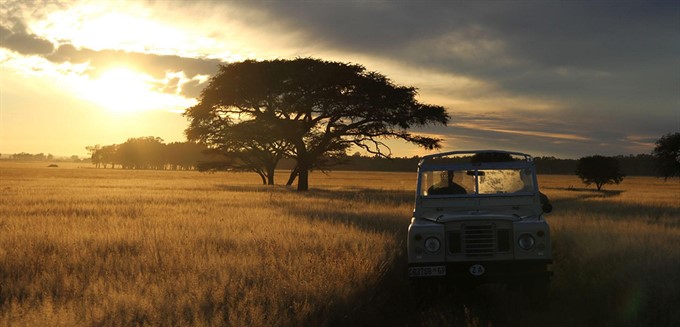 CANCELLED - The Environmental Film Festival Has Canceled "The Serengeti Rules"