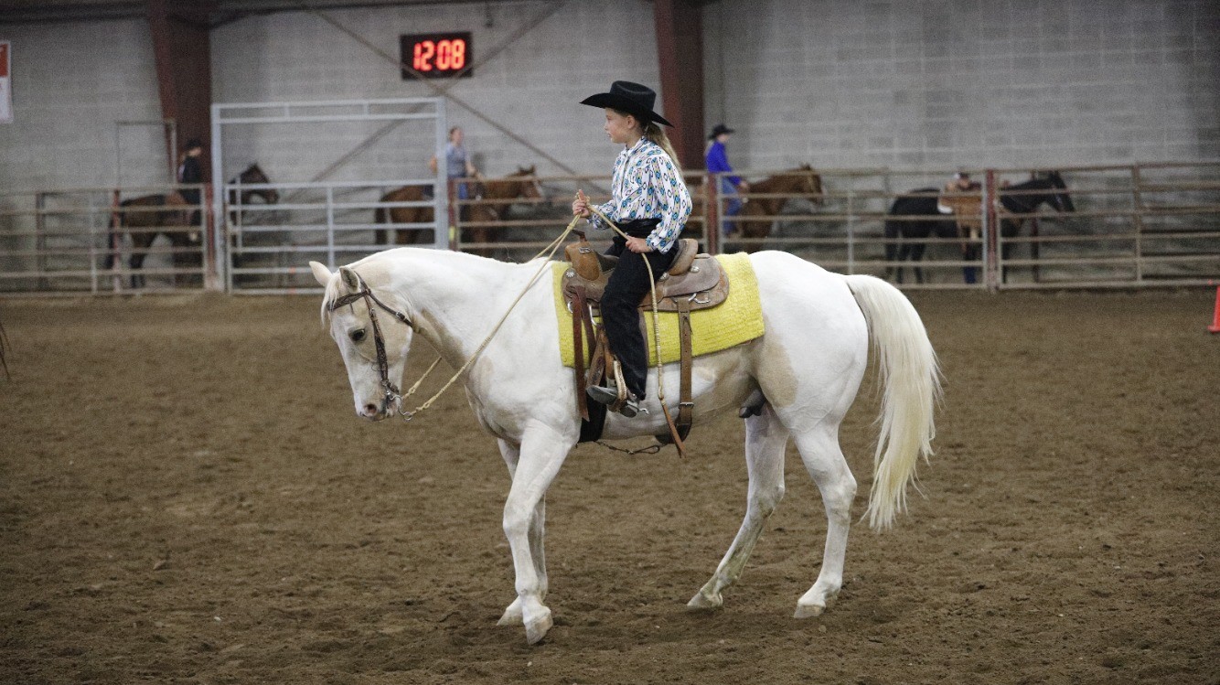 Hairy Horse Show