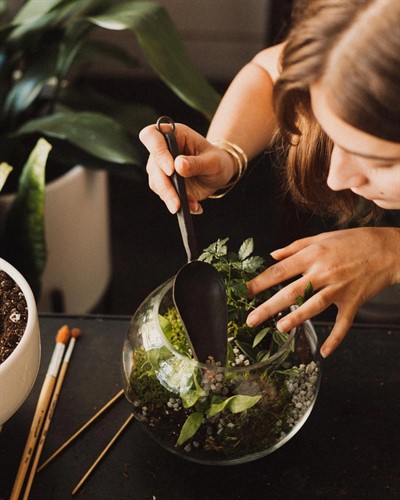 Creating Closed Terrariums (in-person)