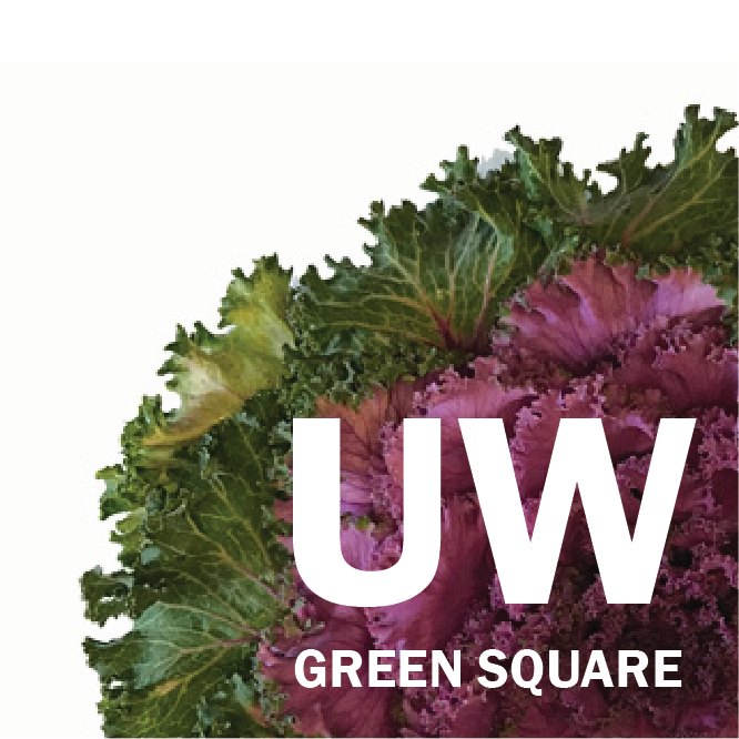 UW Tower Green Square info session