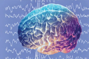 It’s the Neuron! Or, How the Brain Really Works