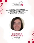 dissertation defense flyer for ph.d. candidate Brianna Trabucco