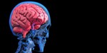 Neurosurgery Academic Forum Neurosurgery Academic Forum