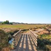 Marsh Walk Marsh Walk