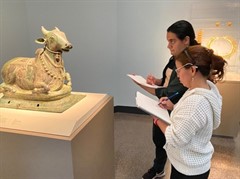 Sketch & Discover Tour