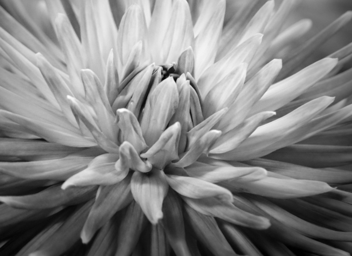 Essays in Light - An Exhibition of Fine Art Photography by The Fine Monochrome Print Group