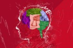 Collage of a human brain composed of leaves, DNA, laboratory glassware, technology, and circuit-board imagery against a red background with white sketch marks.