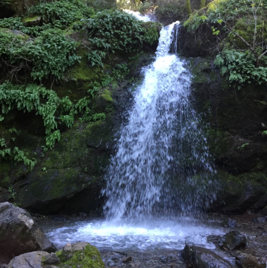 CANCELLED - Family Walk: Buck Gulch