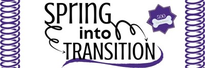 Establishing a New Officer Shadowing Program