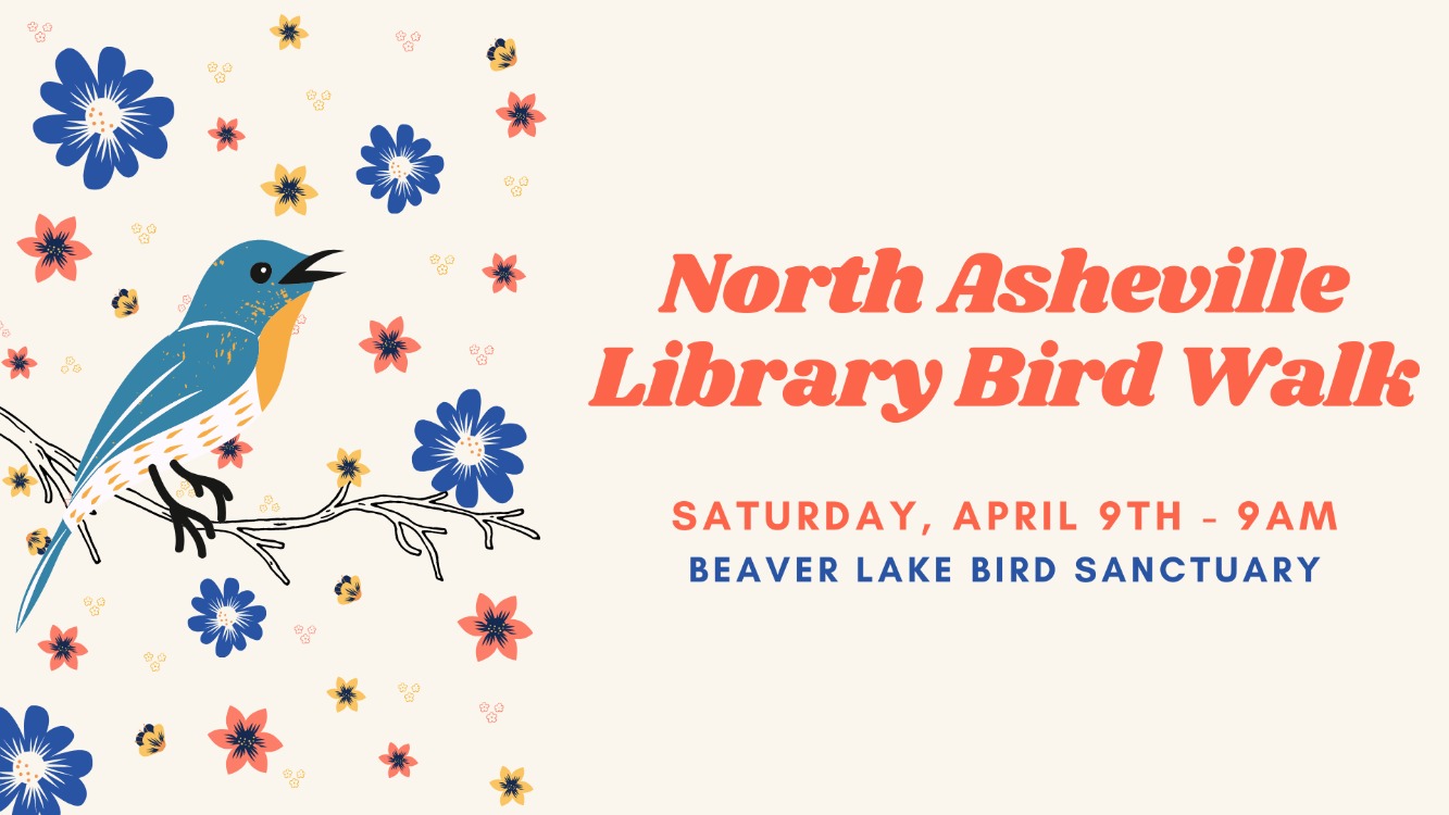 North Asheville Library Bird Walk