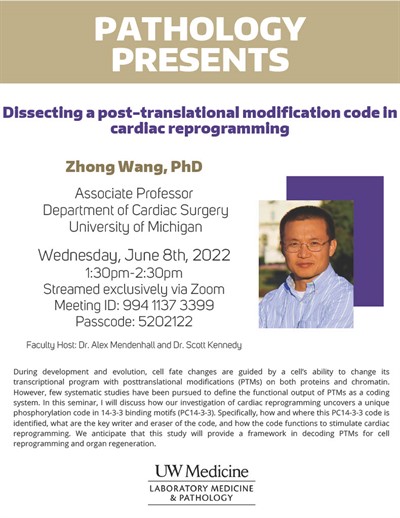 Pathology Presents: Zhong Wang, PhD - Dissecting a post-translational modification code in cardiac reprogramming