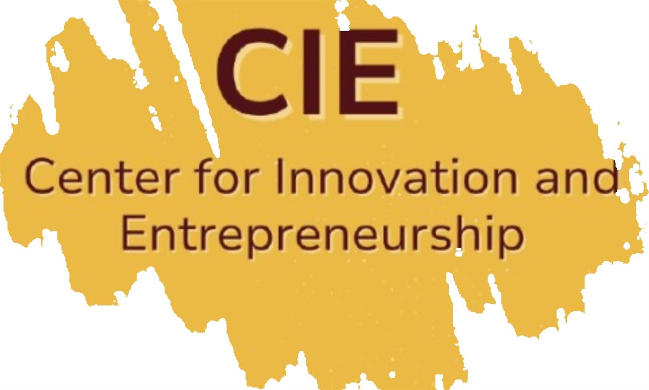 CIE Wednesday Workshop - Budgeting/QuickBooks Workshop - Denise Jackson, owner of Growing Enterprises