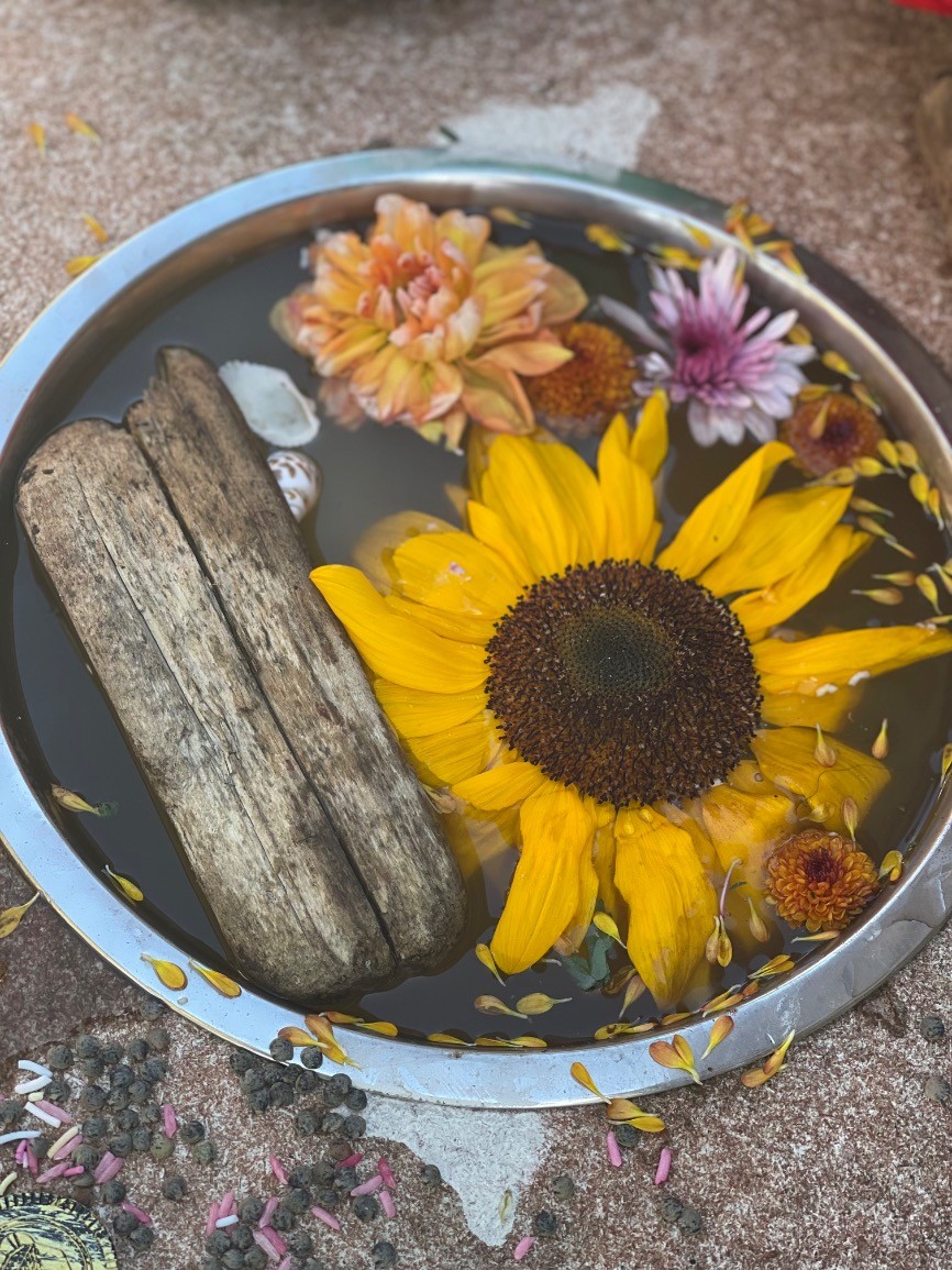 Gumtreekids Messy play at New Farm Park - Australian Animals theme