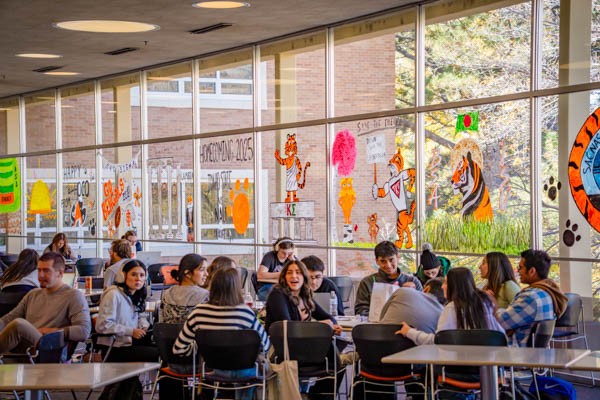 Homecoming Window Painting