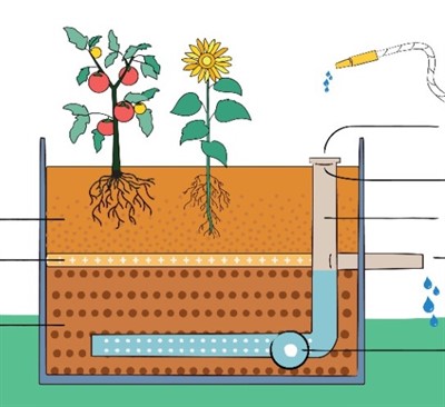 Self-Watering Wicking Beds (online)