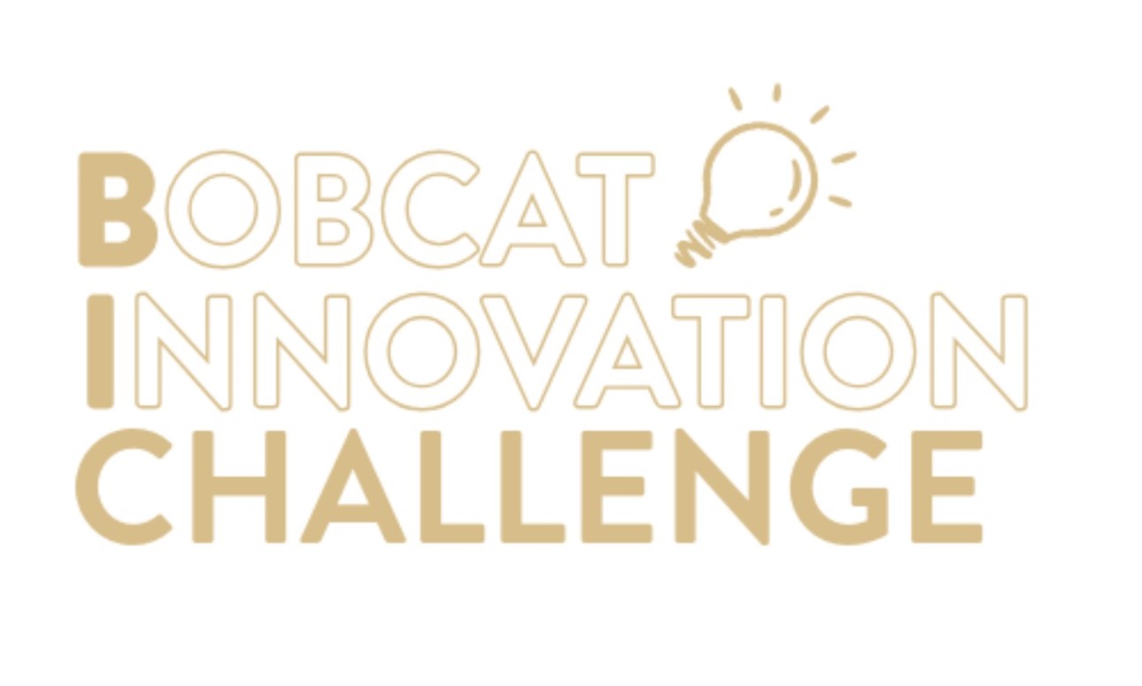 BIC Workshop: Competitor Analysis