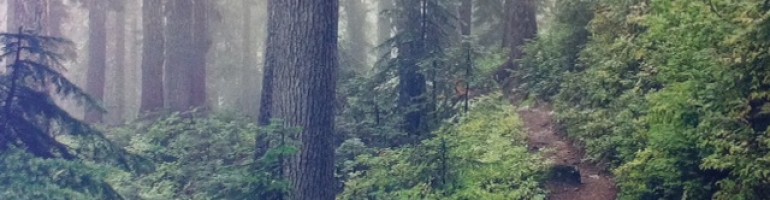 Ecological Forestry in the Pacific Northwest