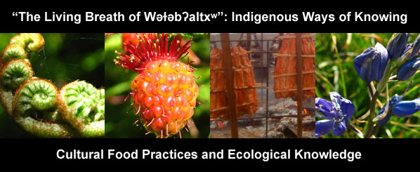 “The Living Breath of Wǝɫǝbʔaltxʷ” Indigenous Ways of Knowing  Cultural Food Practices and Ecological Knowledge