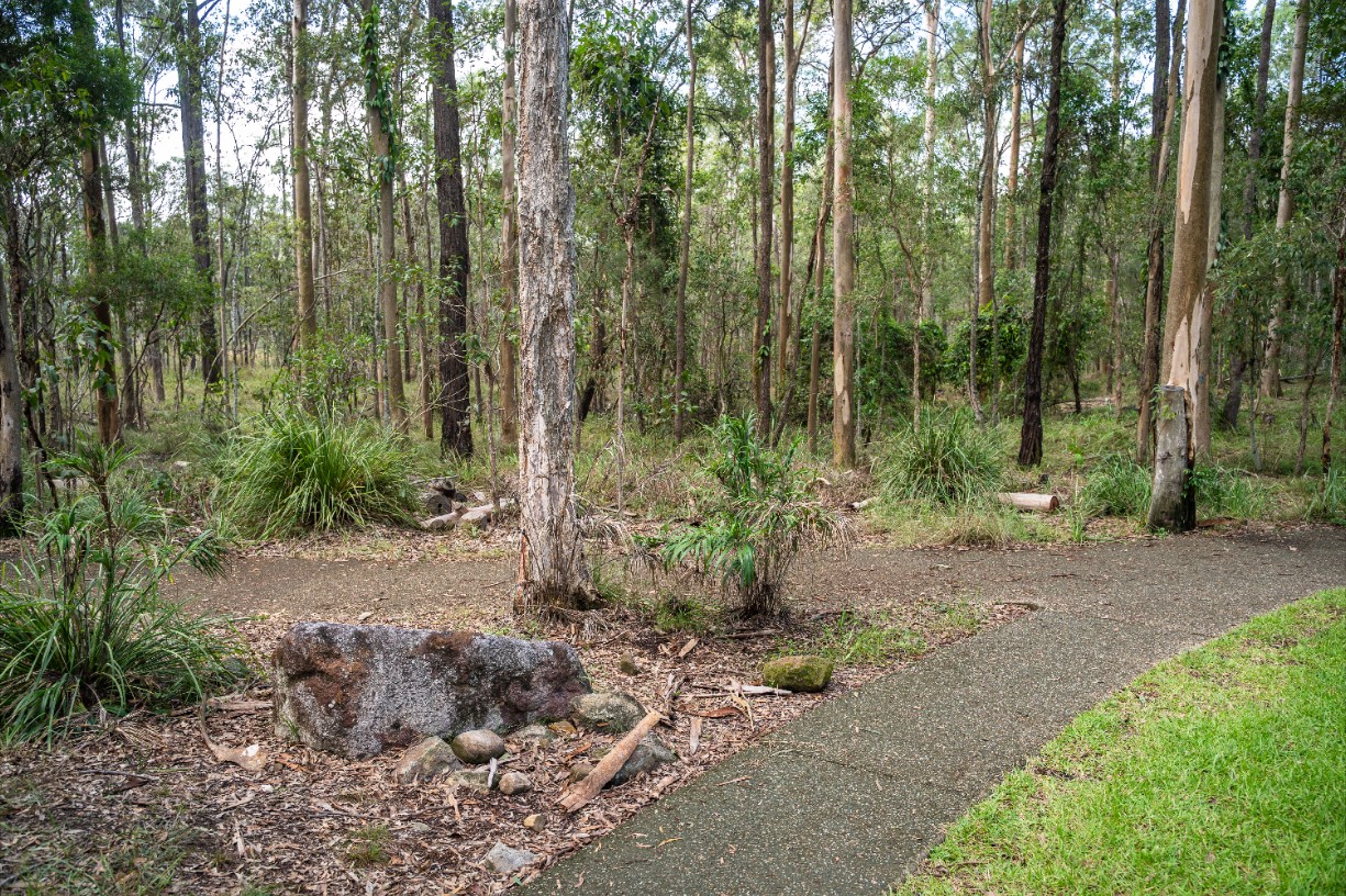 Karawatha Forest BioBlitz