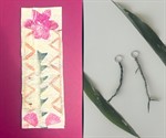 Collage of a kapa bookmark on a pink background and a ti leaf key chain against white background Collage of a kapa bookmark on a pink background and a ti leaf key chain against white background