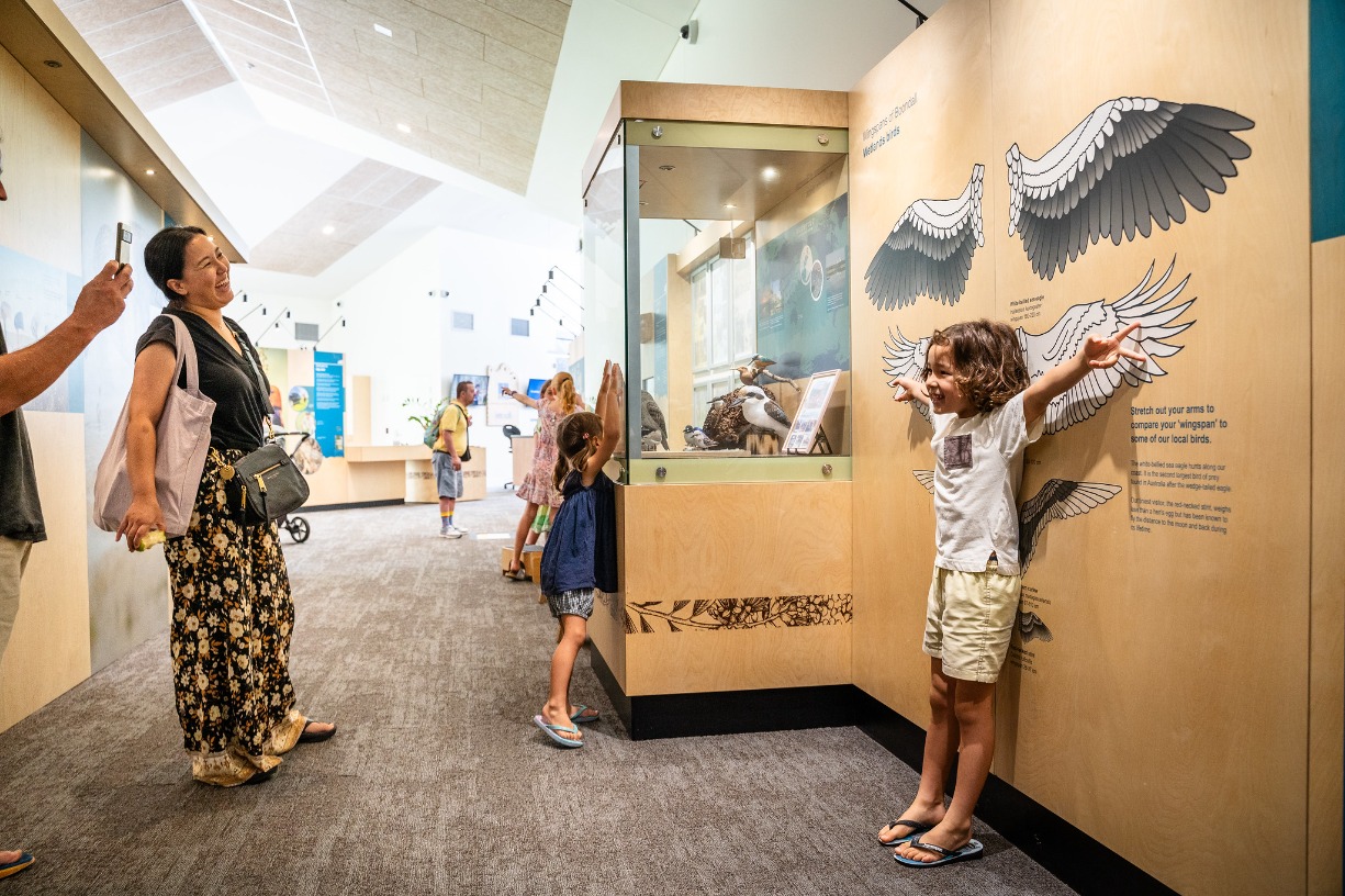 World Wetlands Day - Wings Across the Globe - Shorebird Adventure