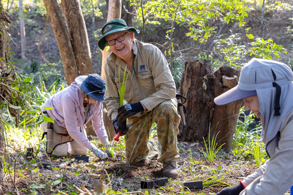 Bushcare Working Bee - Lions Nature Trail Bushcare Group (Kupi Park)