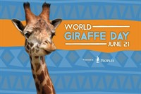 World Giraffe Day World Giraffe Day