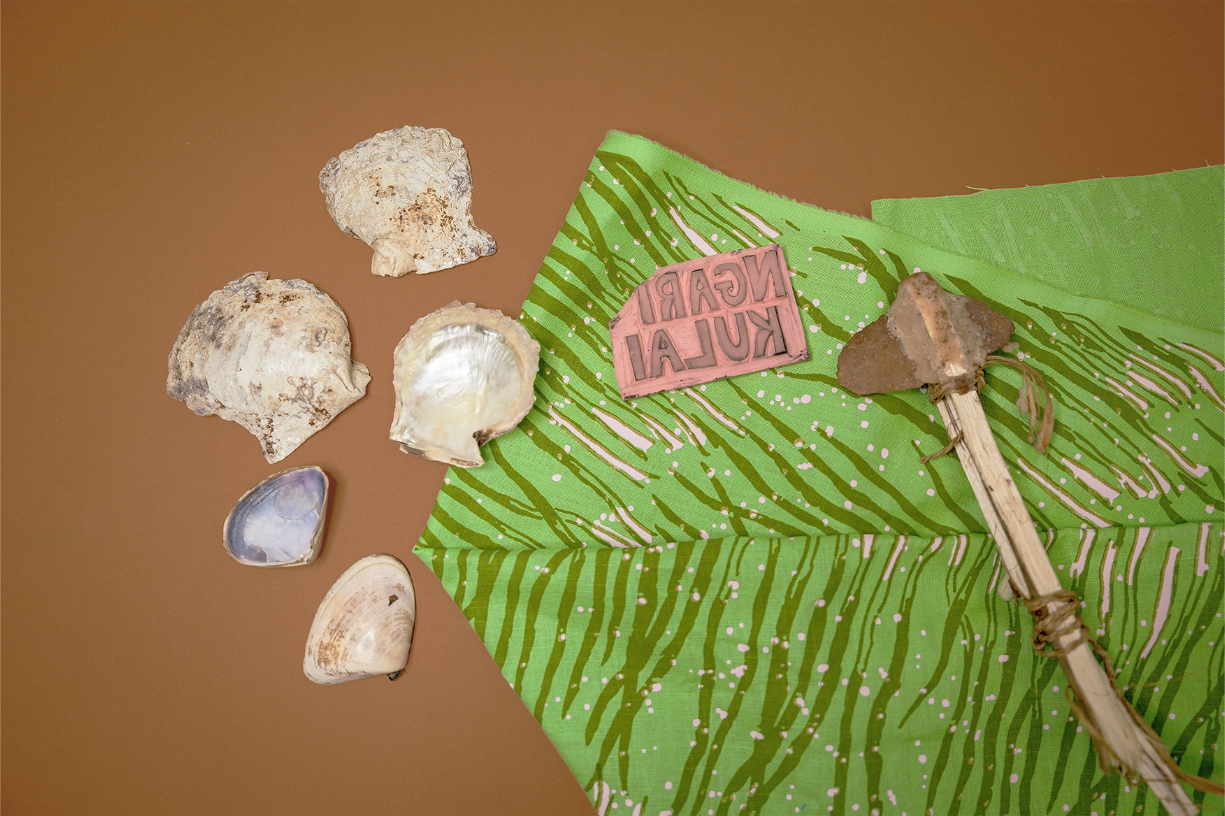 Magpie Goose Young Explorers Tour