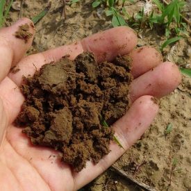 Sustainable Soil Practices: Managing Soil Health on Your Site