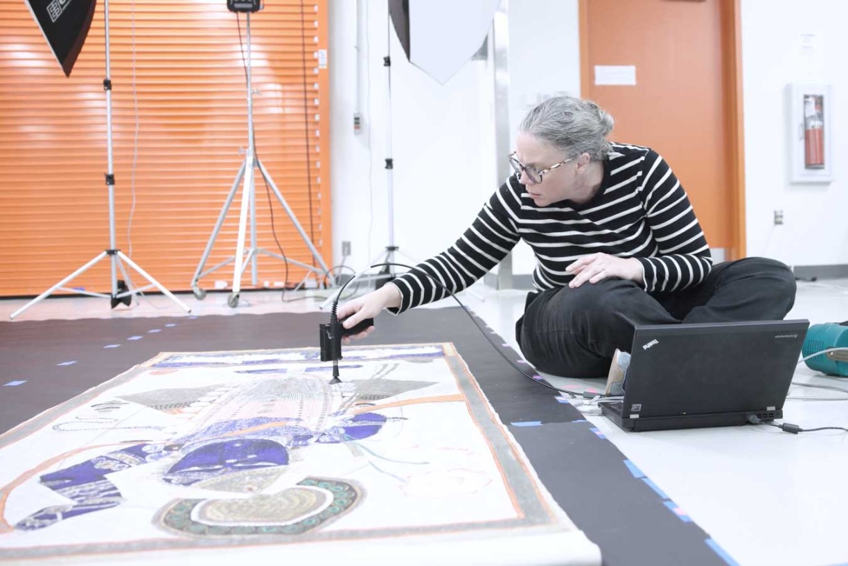 Conservation Cart Talk | The Colors of Pichwais Event Image