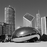 QAMO Chicago Trip QAMO Chicago Trip