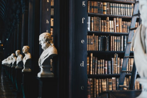 The Future of Translation in Ireland