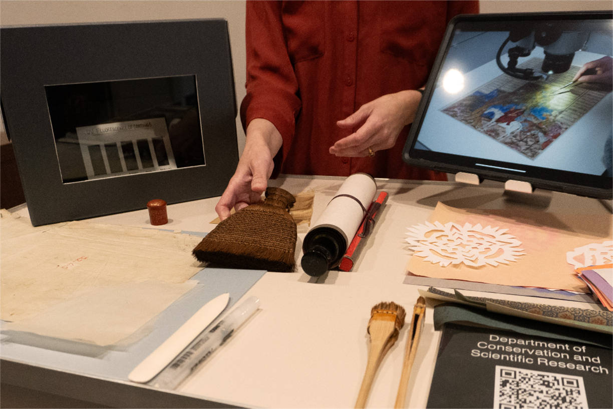 Hands-on Conservation Event Image