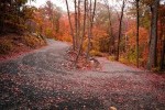 Public Research Talk: Choosing Good or Evil—Royce and Emerson on Knowing the Difference with Scott Pratt
