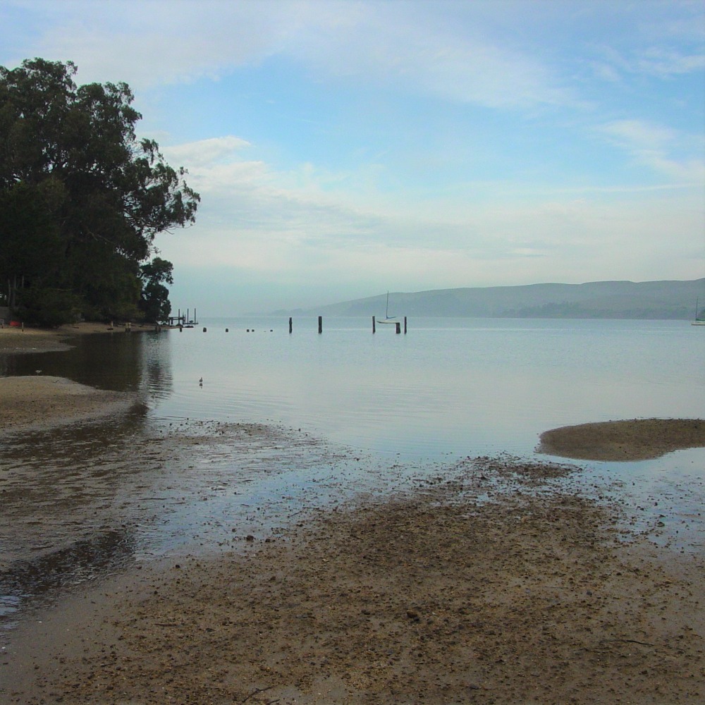 Point Reyes Paddle