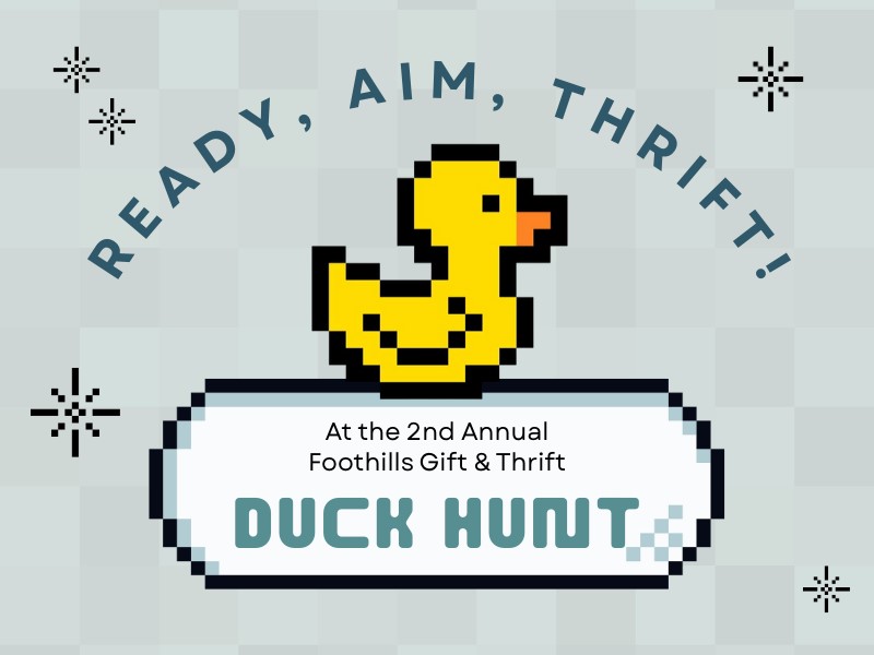 Duck Hunt at Foothills Gift & Thrift