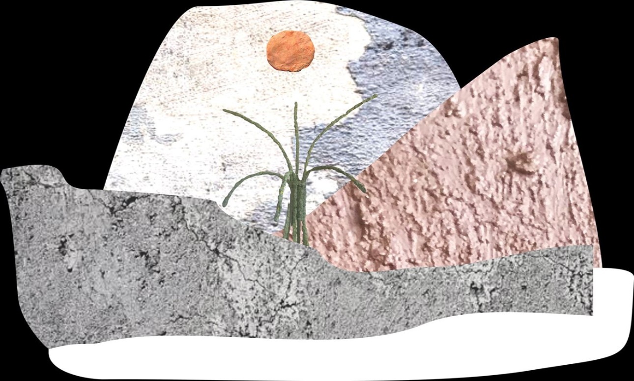 Outdoor Gallery Art Projection: Hailey Atkins’ ‘Whither Weather’