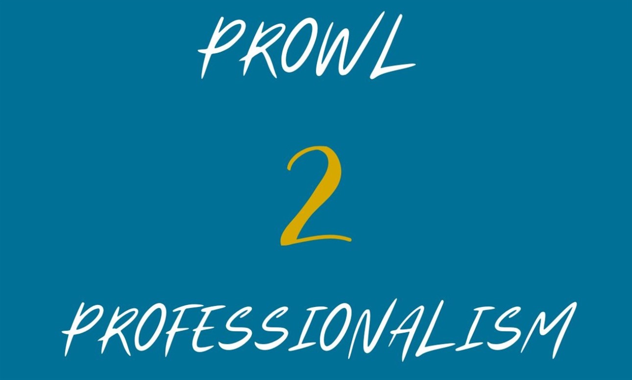 Prowl 2 Professionalism: Budgeting for the Holidays