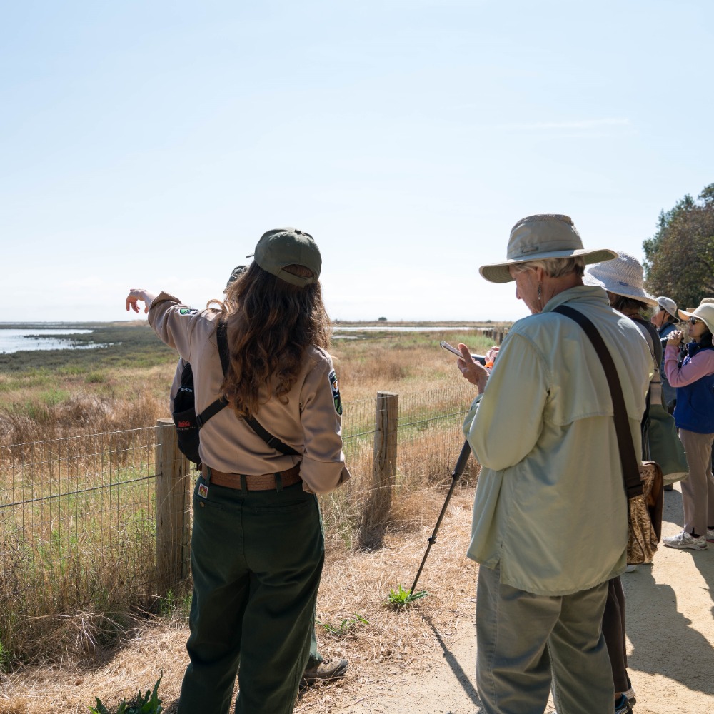 CANCELLED - Senior Stroll: Hamilton Wetlands