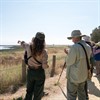 Hamilton Wetlands Birds