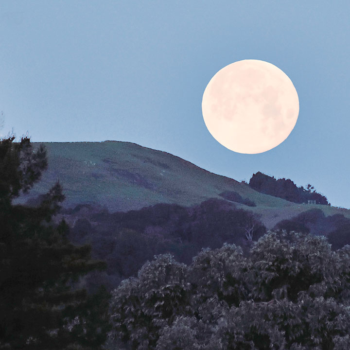 Strawberry Moon Over the Bay