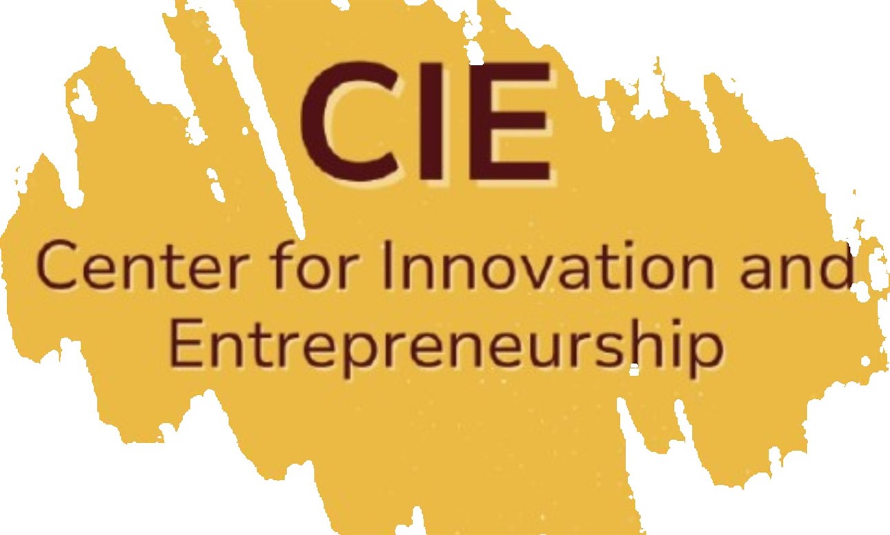 CIE Wednesday Workshop - LinkedIn Workshop with Quinn Valentine, Director of CIE