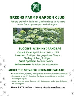 Success with Hydrangeas