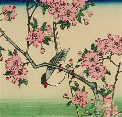 1st Thursday Free Arboretum Walking Tours