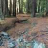 Junior Rangers: Nature Journaling Junior Rangers: Nature Journaling