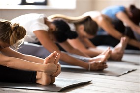 Healing Stretch ($)